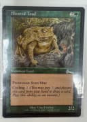 Bloated Toad