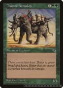 Trained Armodon