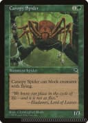 Canopy Spider