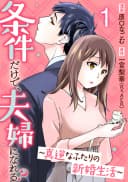 Jouken Dake de, Fuufu ni Nareru? - Magyaku na Futari no Shinkon Seikatsu