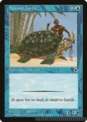 Horned Turtle