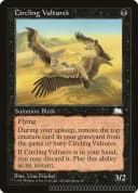 Circling Vultures