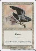 Royal Falcon