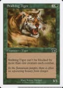 Stalking Tiger