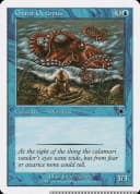 Giant Octopus