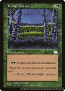 Tranquil Grove