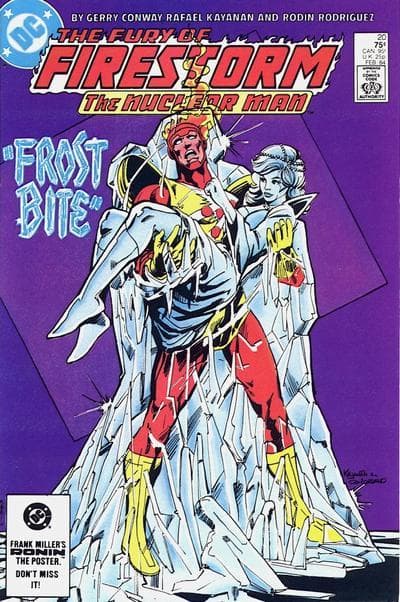 The Fury of Firestorm #20