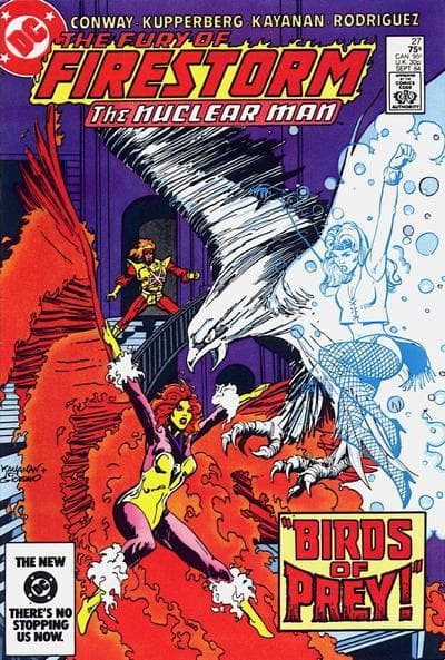 The Fury of Firestorm #27