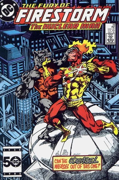 The Fury of Firestorm #39