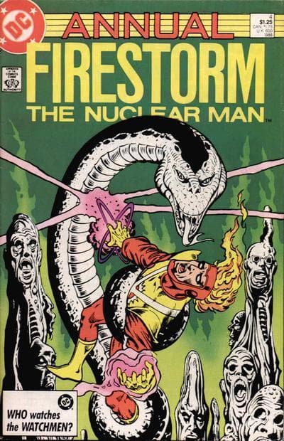 Fury of Firestorm Annual #4