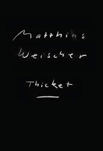 Matthias Weischer