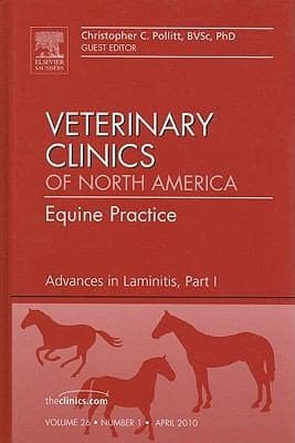 Laminitis Equine Practice