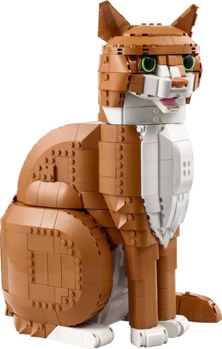21376-1 Orange Cat