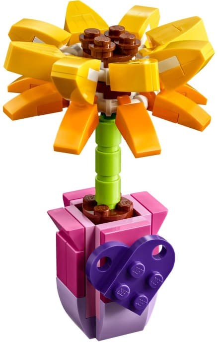 30404-1 Friendship Flower
