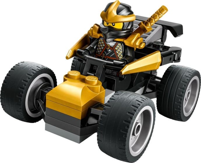 30723-1 Cole's Car