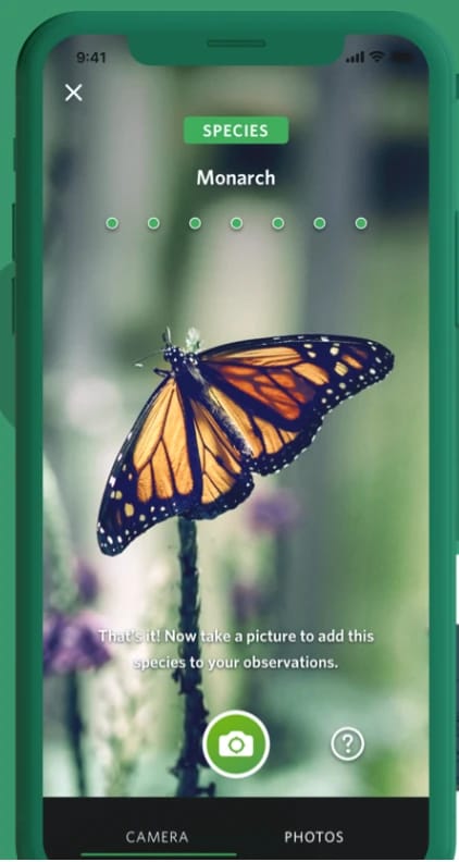 iNaturalist plant and insect identification tool.