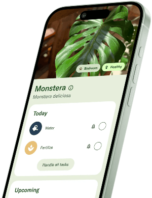 Planta app individual plant item.