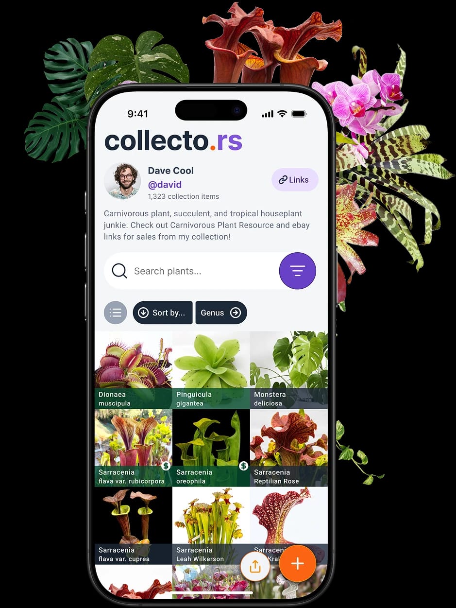 Profile for a collection on the collecto.rs app.