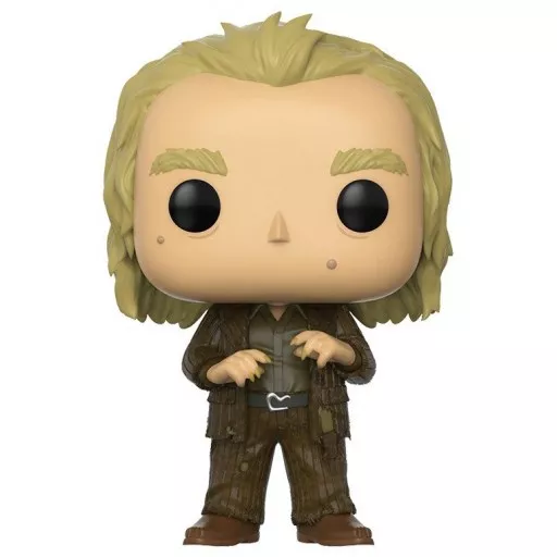 Peter Pettigrew, Harry Potter