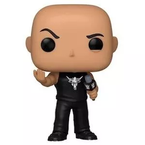 The Rock (Microphone), WWE