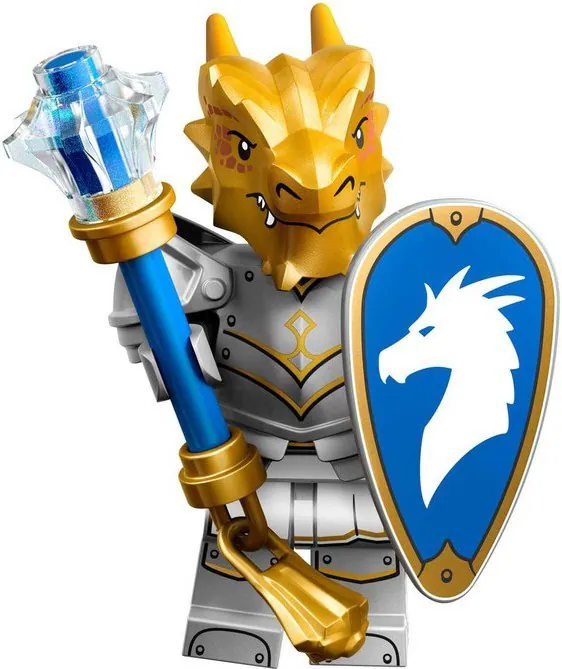 Dragonborn Paladin, other, 12 pcs