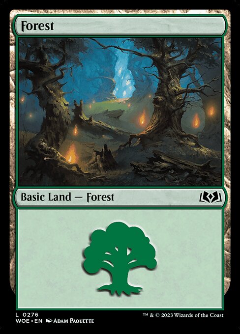 Forest, Wilds of Eldraine 276, common