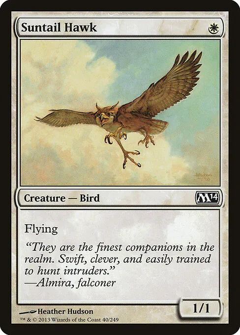 Suntail Hawk, Magic 2014 40, common