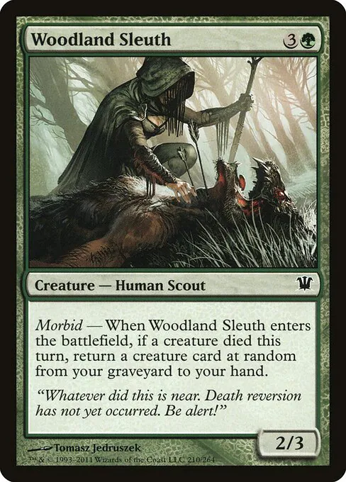 Woodland Sleuth, Innistrad 210, common