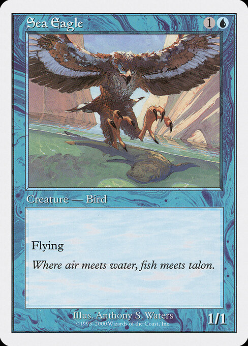 Sea Eagle, Starter 2000 18, common
