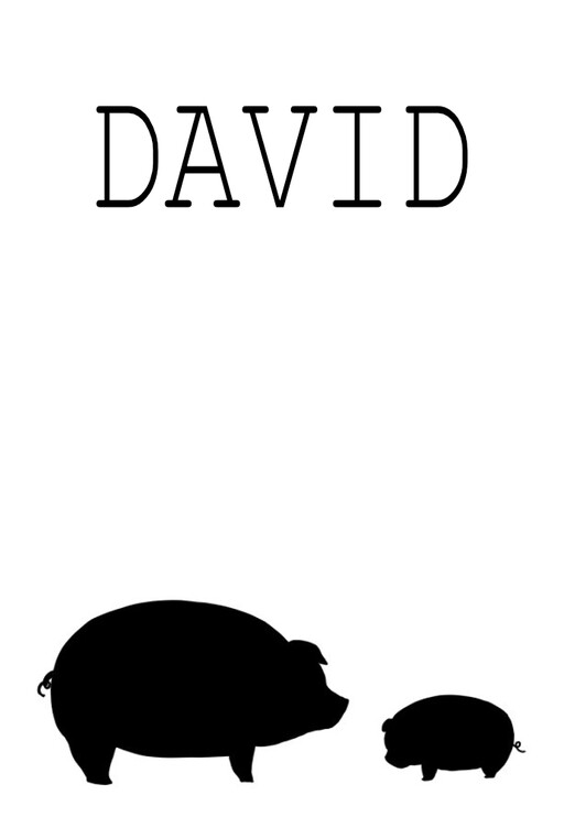 DAVID, dMON (d몬)