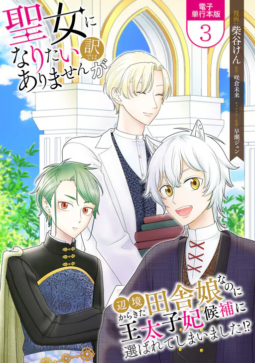 Seijo ni Naritai Wake de wa Arimasen ga, Shibatani Ken