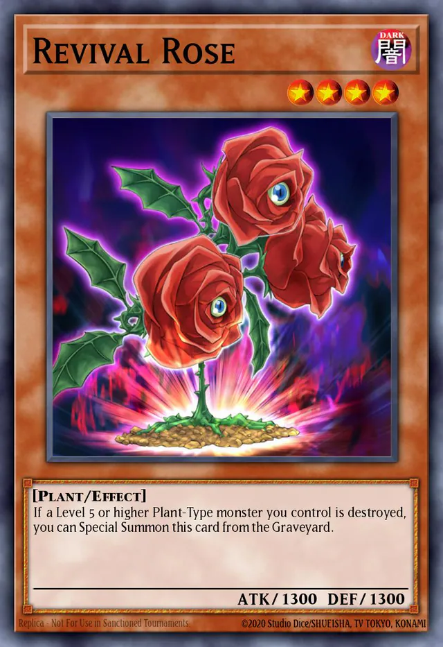 Revival Rose, The Shining Darkness TSHD-EN016, rare