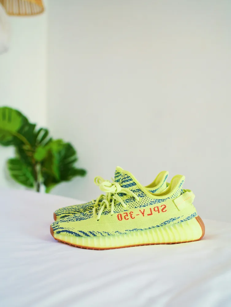 Yeezy Boost 350 Frozen sneakers in your collection